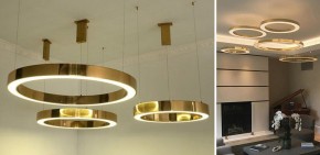 Подвесной светильник Imperiumloft Light Ring Horizontal 40.1454-50 в Нытве - nytva.mebel24.online | фото 2