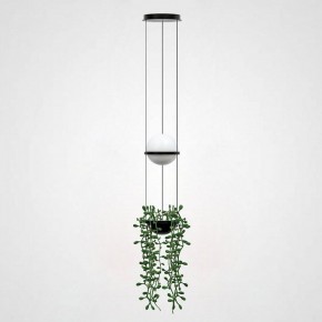 Подвесной светильник Imperiumloft Palma Wall Lamp 22.93727 в Нытве - nytva.mebel24.online | фото