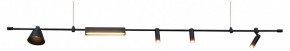 Подвесной светильник Kink Light Ристо 07616-180L,19 в Нытве - nytva.mebel24.online | фото