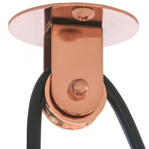 Подвесной светильник Lightstar Acrobata 761073 в Нытве - nytva.mebel24.online | фото 5