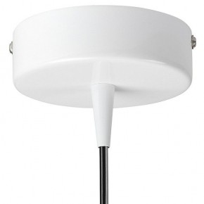 Подвесной светильник Lightstar Conicita 804110 в Нытве - nytva.mebel24.online | фото 6
