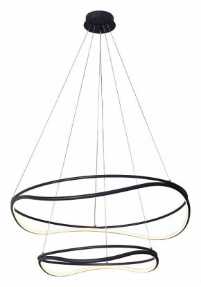 Подвесной светильник Lightstar Rotonda 736527 в Нытве - nytva.mebel24.online | фото 2