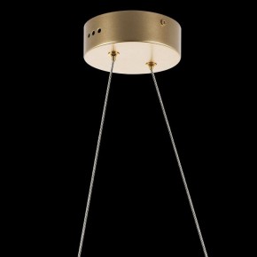 Подвесной светильник Lightstar Varese 731313 в Нытве - nytva.mebel24.online | фото 7