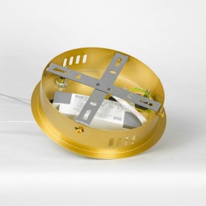 Подвесной светильник Lussole Benton LSP-7339 в Нытве - nytva.mebel24.online | фото 8