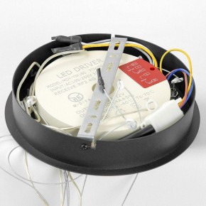 Подвесной светильник Lussole Hale LSP-7380 в Нытве - nytva.mebel24.online | фото 6