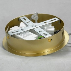 Подвесной светильник Lussole River LSP-8367 в Нытве - nytva.mebel24.online | фото 6
