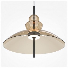 Подвесной светильник Maytoni Bangkok MOD185PL-L12CG3K3 в Нытве - nytva.mebel24.online | фото 5