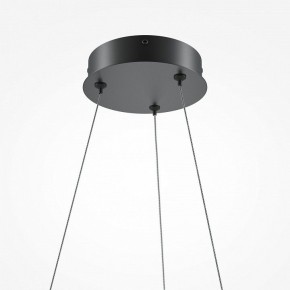 Подвесной светильник Maytoni Curve MOD241PL-L60BK в Нытве - nytva.mebel24.online | фото 6