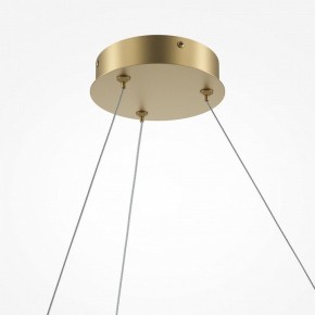 Подвесной светильник Maytoni Curve MOD242PL-L33BSK в Нытве - nytva.mebel24.online | фото 5