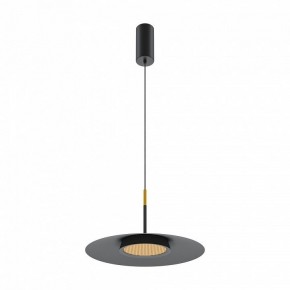 Подвесной светильник Maytoni Halo MOD041PL-L15B3K1 в Нытве - nytva.mebel24.online | фото 2