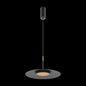 Подвесной светильник Maytoni Halo MOD041PL-L15B3K1 в Нытве - nytva.mebel24.online | фото 4