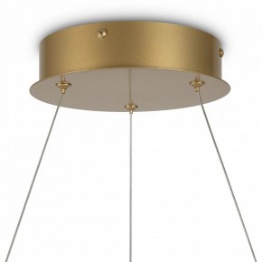 Подвесной светильник Maytoni Halo MOD100PL-L47BSK1 в Нытве - nytva.mebel24.online | фото 6