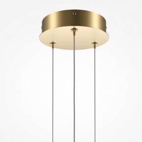 Подвесной светильник Maytoni Halo MOD247PL-L49BSK в Нытве - nytva.mebel24.online | фото 6