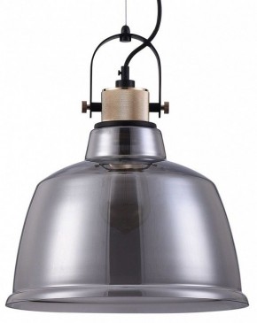 Подвесной светильник Maytoni Irving T163PL-01C в Нытве - nytva.mebel24.online | фото 2