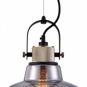 Подвесной светильник Maytoni Irving T163PL-01C в Нытве - nytva.mebel24.online | фото 9