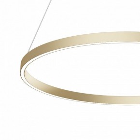 Подвесной светильник Maytoni Rim MOD058PL-L42BSK в Нытве - nytva.mebel24.online | фото 4