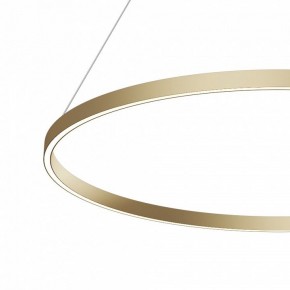 Подвесной светильник Maytoni Rim MOD058PL-L54BSK в Нытве - nytva.mebel24.online | фото 4