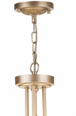 Подвесной светильник Maytoni Roma ARM006PL-06G в Нытве - nytva.mebel24.online | фото 5