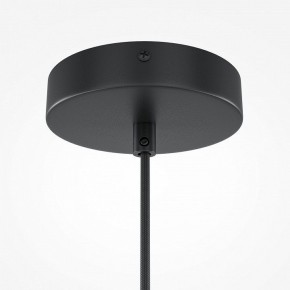 Подвесной светильник Maytoni Roots MOD194PL-01W1 в Нытве - nytva.mebel24.online | фото 5