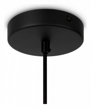 Подвесной светильник Maytoni Roots MOD195PL-01W1 в Нытве - nytva.mebel24.online | фото 4