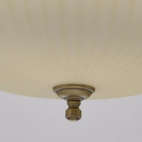 Подвесной светильник MW-Light Афродита 1 317010504 в Нытве - nytva.mebel24.online | фото 9