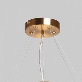 Подвесной светильник MW-Light Илоника 10 451013006 в Нытве - nytva.mebel24.online | фото 10