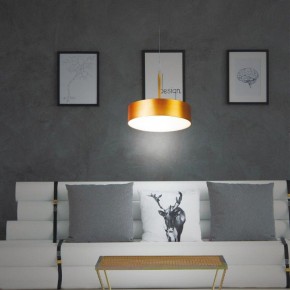 Подвесной светильник Novotech Prometa 358766 в Нытве - nytva.mebel24.online | фото 4