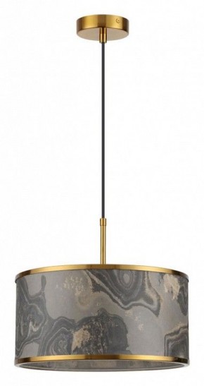 Подвесной светильник Odeon Light Bergi 5064/1 в Нытве - nytva.mebel24.online | фото 2