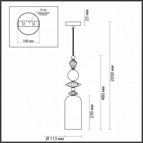 Подвесной светильник Odeon Light Bizet 4855/1 в Нытве - nytva.mebel24.online | фото