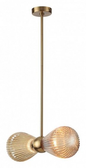 Подвесной светильник Odeon Light Elica 5402/2 в Нытве - nytva.mebel24.online | фото 2