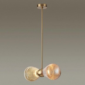Подвесной светильник Odeon Light Elica 5402/2 в Нытве - nytva.mebel24.online | фото 3