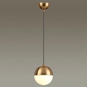 Подвесной светильник Odeon Light Pinga 4960/1 в Нытве - nytva.mebel24.online | фото 2
