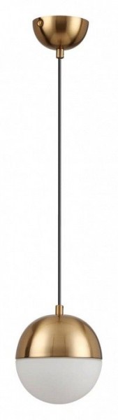 Подвесной светильник Odeon Light Pinga 4960/1 в Нытве - nytva.mebel24.online | фото 3