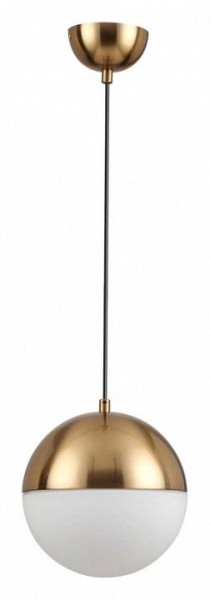 Подвесной светильник Odeon Light Pinga 4960/1A в Нытве - nytva.mebel24.online | фото 3