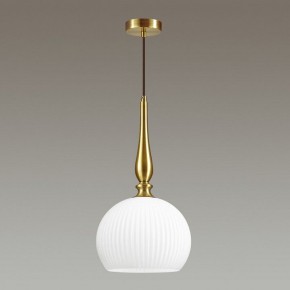 Подвесной светильник Odeon Light Runga 4766/1 в Нытве - nytva.mebel24.online | фото 4