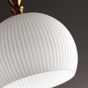 Подвесной светильник Odeon Light Runga 4766/1 в Нытве - nytva.mebel24.online | фото 8