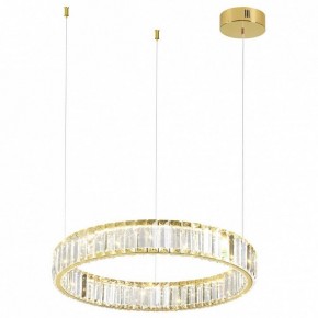 Подвесной светильник Odeon Light Vekia 5015/30L в Нытве - nytva.mebel24.online | фото 2