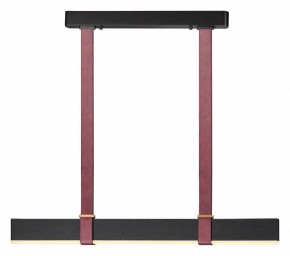 Подвесной светильник Odeon Light Vincent 6629/25L в Нытве - nytva.mebel24.online | фото 2
