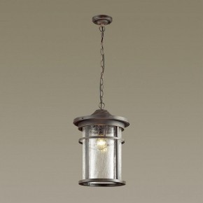 Подвесной светильник Odeon Light Virta 4044/1 в Нытве - nytva.mebel24.online | фото 4