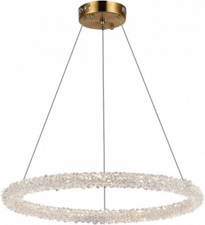Подвесной светильник ST-Luce Avana SL6110.213.01 в Нытве - nytva.mebel24.online | фото 4
