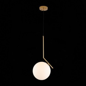 Подвесной светильник ST-Luce Codda SL1148.303.01 в Нытве - nytva.mebel24.online | фото 5