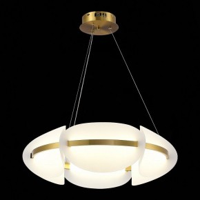 Подвесной светильник ST-Luce Etoile SL1304.203.45 в Нытве - nytva.mebel24.online | фото 4