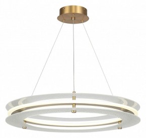 Подвесной светильник ST-Luce FAGY SL6245.203.01 в Нытве - nytva.mebel24.online | фото 2