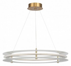 Подвесной светильник ST-Luce FAGY SL6245.203.01 в Нытве - nytva.mebel24.online | фото 3