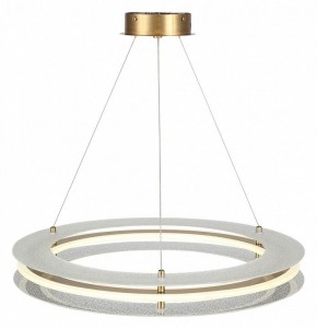 Подвесной светильник ST-Luce FAGY SL6245.203.01 в Нытве - nytva.mebel24.online | фото 4