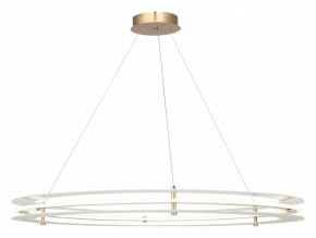 Подвесной светильник ST-Luce FAGY SL6245.213.01 в Нытве - nytva.mebel24.online | фото 2
