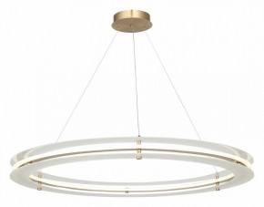 Подвесной светильник ST-Luce FAGY SL6245.213.01 в Нытве - nytva.mebel24.online | фото 4