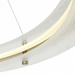 Подвесной светильник ST-Luce FAGY SL6245.213.01 в Нытве - nytva.mebel24.online | фото 6