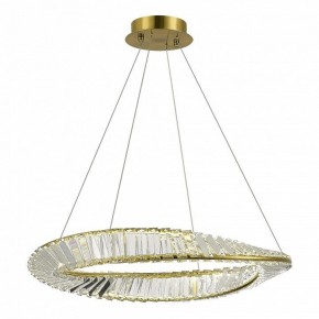 Подвесной светильник ST-Luce Ritorto SL6204.301.01 в Нытве - nytva.mebel24.online | фото 2