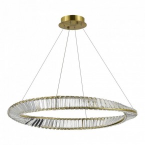 Подвесной светильник ST-Luce Ritorto SL6204.311.01 в Нытве - nytva.mebel24.online | фото 3